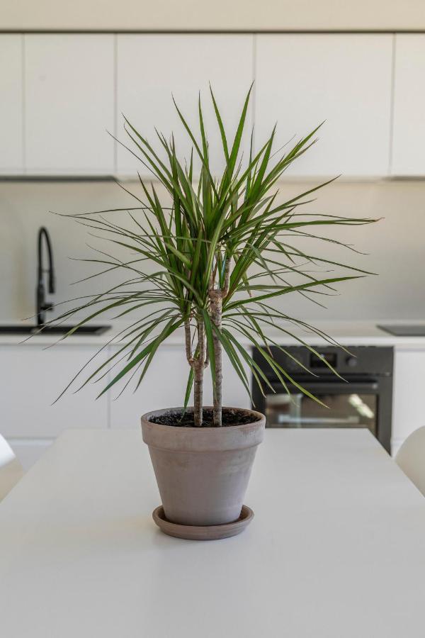 La Dolce Vita - Sunny Penthouse Trastevere Station 100Sqm Рим Екстер'єр фото